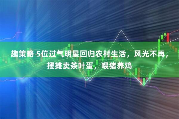 趣策略 5位过气明星回归农村生活，风光不再，摆摊卖茶叶蛋，喂猪养鸡