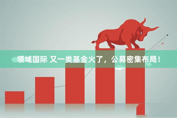领域国际 又一类基金火了，公募密集布局！