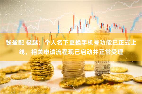 钱盈配 极越：个人名下更换手机号功能已正式上线，相关申请流程现已启动并正常受理