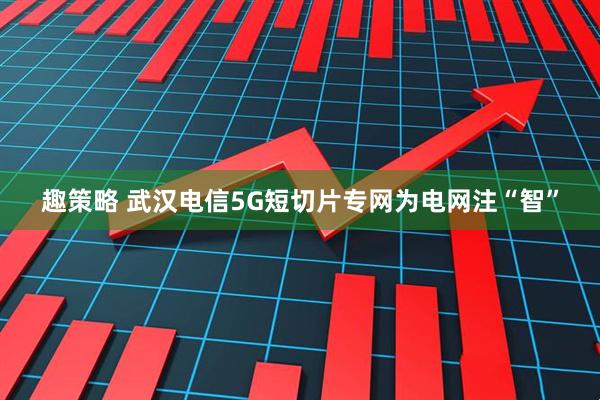 趣策略 武汉电信5G短切片专网为电网注“智”