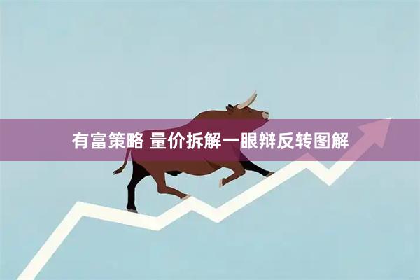有富策略 量价拆解一眼辩反转图解