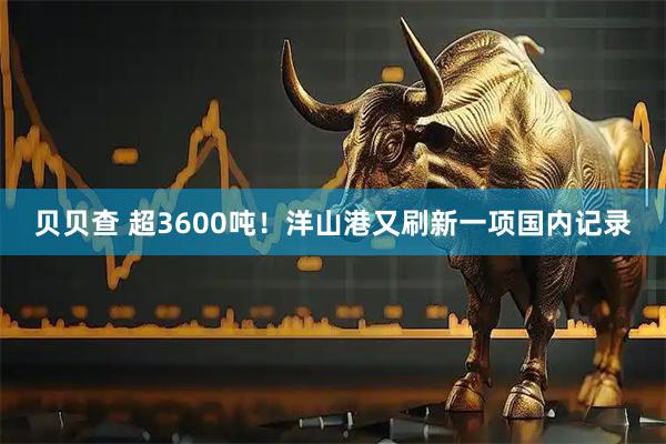 贝贝查 超3600吨！洋山港又刷新一项国内记录
